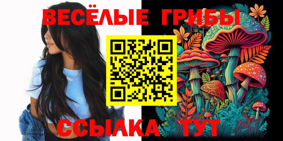 Псилоцибиновые грибы Magic Shrooms Железноводск
